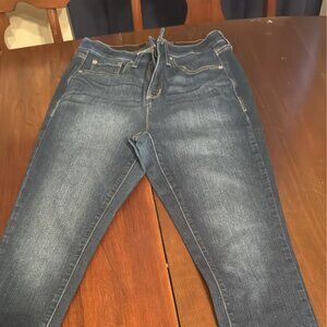 Torrid Jeans size 12